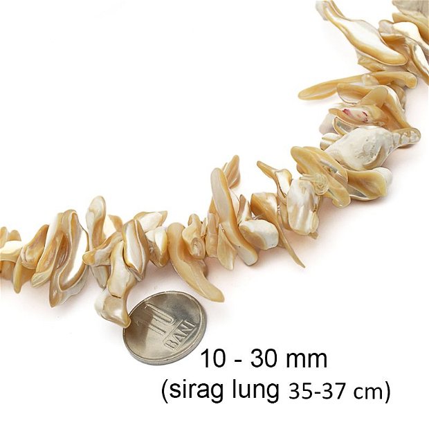Sirag lung, sidef Trochus natural, 10 - 30 mm, SD-03
