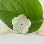 Sidef 20mm (1)