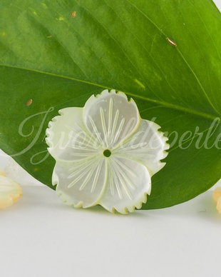Sidef 20mm (1)
