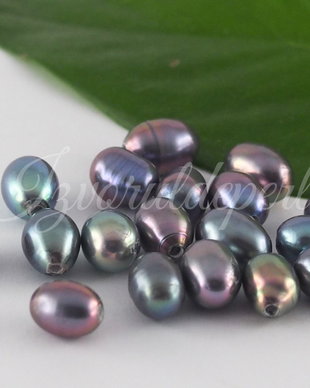Perle cultura 5-6x6-8mm, semigaurite (1)