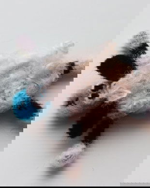 Brosa/decor `Oita zburdalnica`