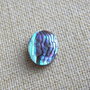 Caboson sidef Paua Shell (C30)