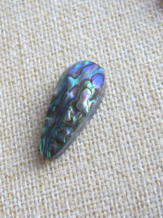 Caboson sidef Paua Shell (C30)