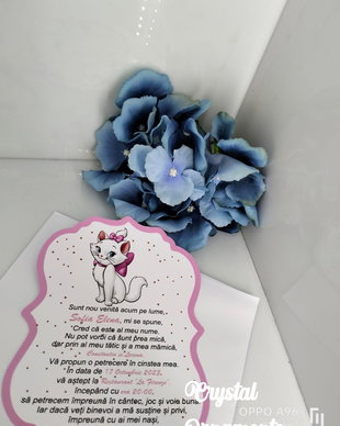 Invitatie botez pisica Marie