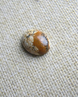 Caboson picture jasper (AV21)