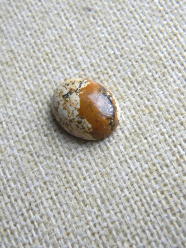 Caboson picture jasper (AV21)