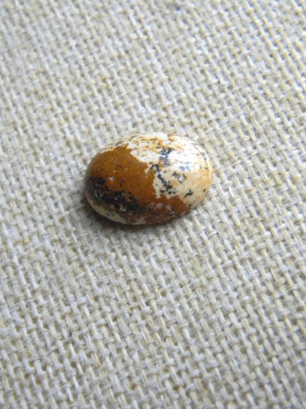 Caboson picture jasper (AV21)