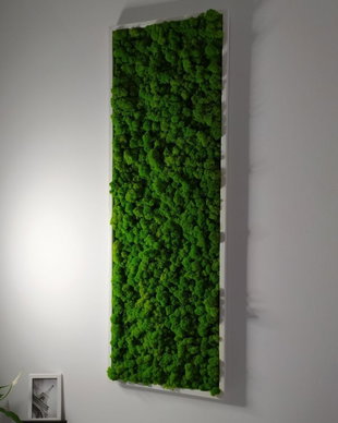 Tablou din licheni naturali