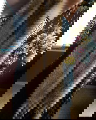 PERECHE DE NURCI -GULER ,DEOSEBITE