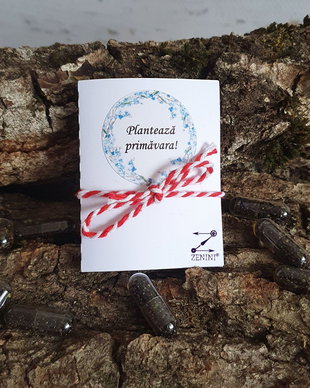 Martisor plantabil seminte de nu ma uita, martisor flori, martisoare plante, martisor nu-ma-uita, martisor flori primavara, martisor seminte flori