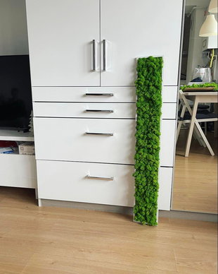 Tablou din licheni decorativi