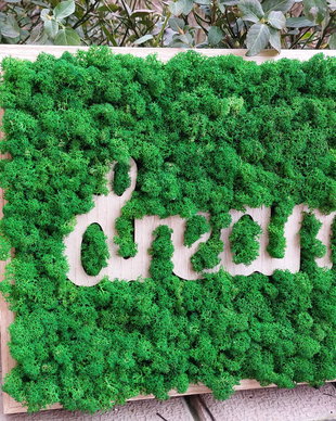Tablou Dream, licheni stabilizati, 31x40 cm