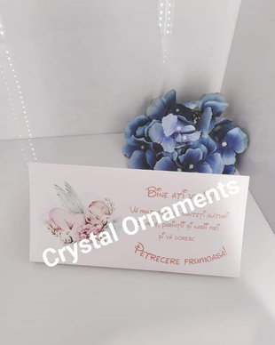 Plic de bani botez ingeras / bebe cu aripi