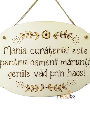 Tăbliță haioasă - Mania curățeniei