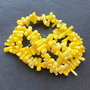 Lchips 52 - chips coral