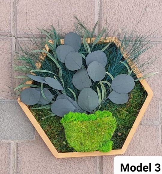 Tablou hexagon cu licheni, muschi si plante stabilizate