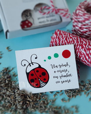 Martisor buburuza pictat manual cu magnet si mesaj haios