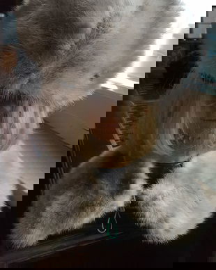 SET BERETA  SI GULER NURCA GRIS ARGINTIU MARIME 59/60