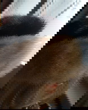 CACIULA DEOSEBITA NURCA NEAGRA SI GRIS MARIME 59/60