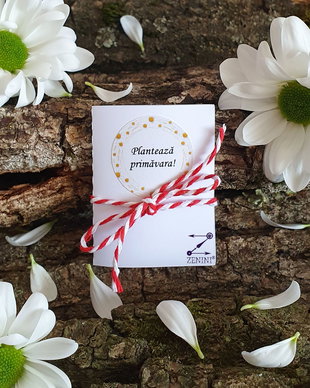 Martisor plantabil, martisor flori, martisoare plante, martisor margarete, martisor flori primavara, martisor sticluta, flori sticluta, martisor seminte flori