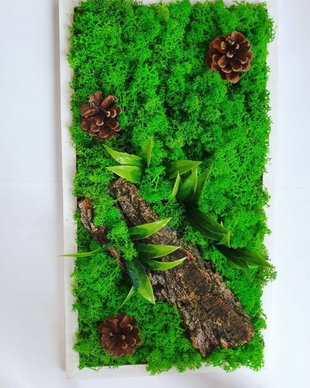 Tablou din licheni stabilizati si elemente decorative
