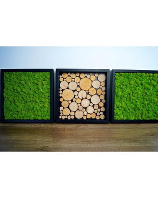 Set 3B Tablou din licheni naturali si stabilizati
