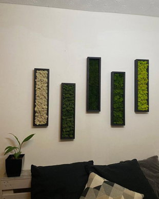 Set 5B Tablou din licheni naturali si stabilizati