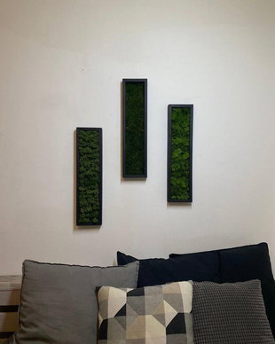 Set 3B Tablou din licheni naturali si stabilizati