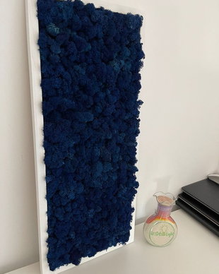 Tablou din licheni naturali si stabilizati