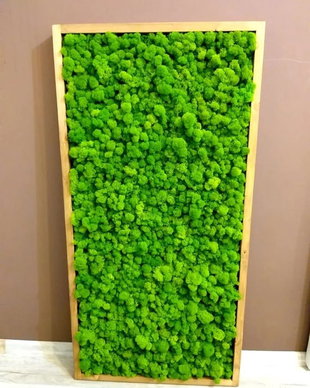 Tablou din licheni naturali si stabilizati