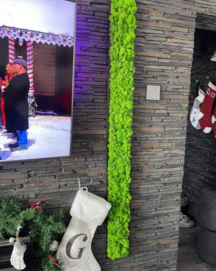 Tablou din licheni naturali si stabilizati
