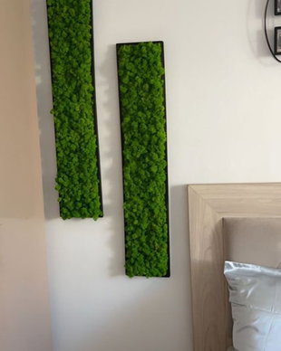 Set 2B Tablou din licheni naturali si stabilizati
