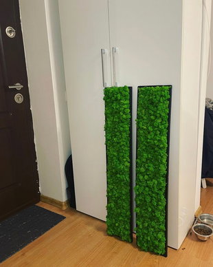 Set 2B Tablou din licheni naturali si stabilizati