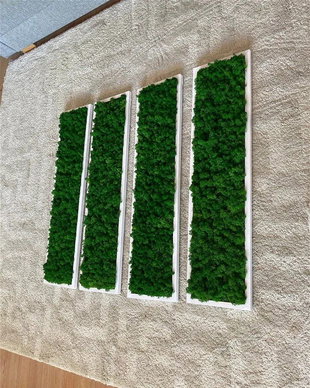 Set 4B Tablou din licheni naturali si stabilizati