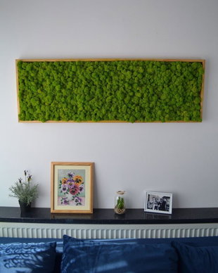 Tablou din licheni naturali si stabilizati