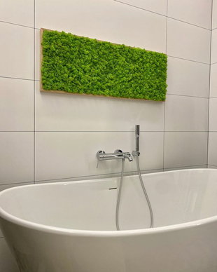 Tablou din licheni naturali si stabilizati