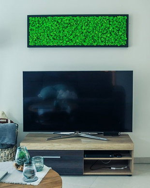 Tablou din licheni naturali si stabilizati