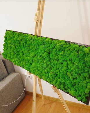Tablou din licheni naturali si stabilizati