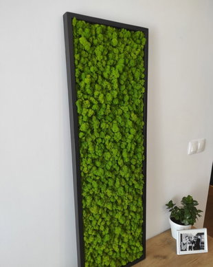 Tablou din licheni naturali si stabilizati