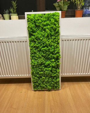 Tablou din licheni naturali si stabilizati