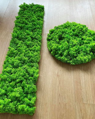 Set 2B Tablou din licheni naturali si stabilizati