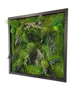 Tablou din licheni naturali si stabilizati
