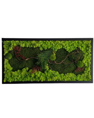 Tablou din licheni naturali si stabilizati