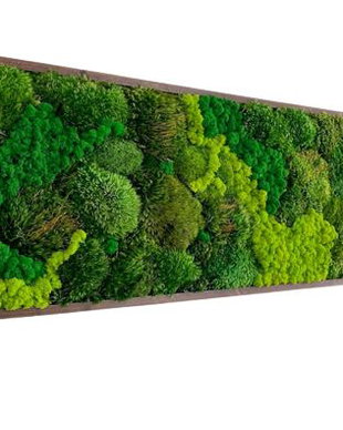 Tablou din licheni naturali si stabilizati