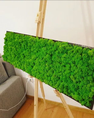 Tablou din licheni naturali si stabilizati
