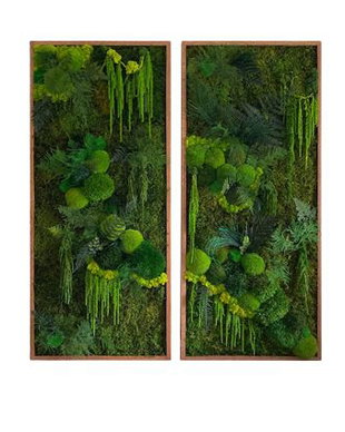 Set 2B Tablou din licheni naturali si stabilizati