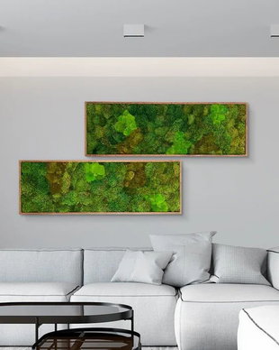 Set 2B Tablou din licheni naturali si stabilizati