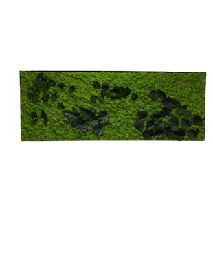 Tablou din licheni naturali si stabilizati