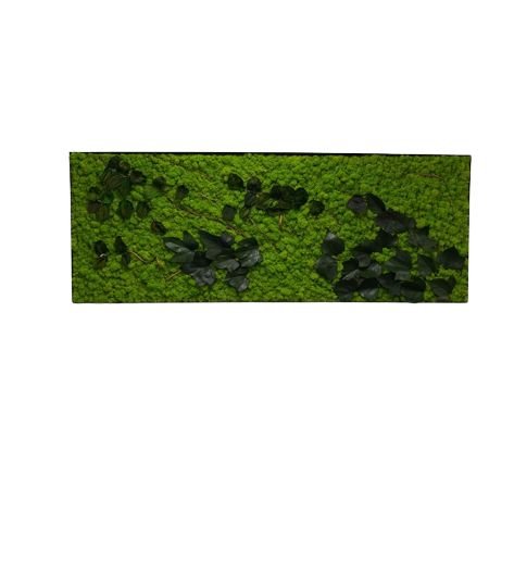 Tablou din licheni naturali si stabilizati