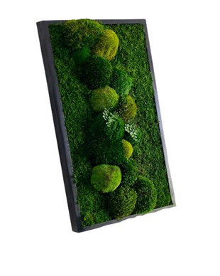 Tablou din licheni naturali si stabilizati